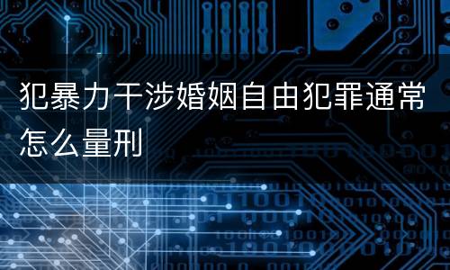 犯暴力干涉婚姻自由犯罪通常怎么量刑