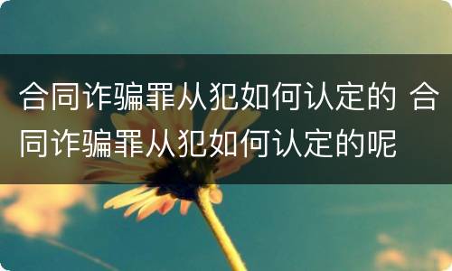 合同诈骗罪从犯如何认定的 合同诈骗罪从犯如何认定的呢