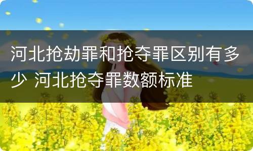 河北抢劫罪和抢夺罪区别有多少 河北抢夺罪数额标准