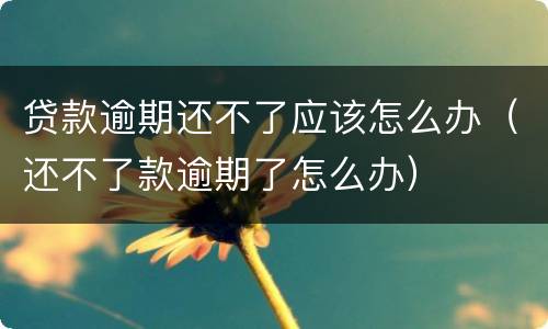 贷款逾期还不了应该怎么办（还不了款逾期了怎么办）