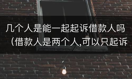 几个人是能一起起诉借款人吗（借款人是两个人,可以只起诉一个人吗）