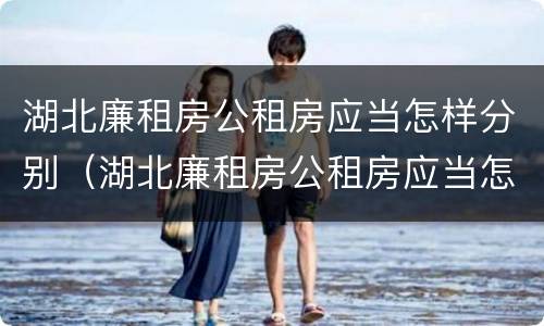 湖北廉租房公租房应当怎样分别（湖北廉租房公租房应当怎样分别购买）