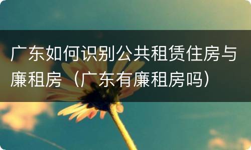 广东如何识别公共租赁住房与廉租房（广东有廉租房吗）