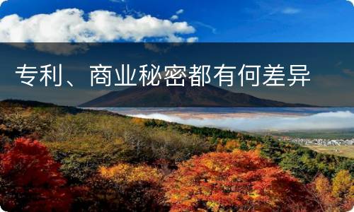 专利、商业秘密都有何差异