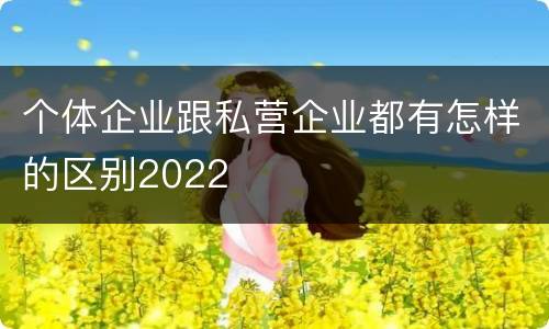 个体企业跟私营企业都有怎样的区别2022