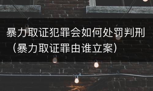 暴力取证犯罪会如何处罚判刑（暴力取证罪由谁立案）