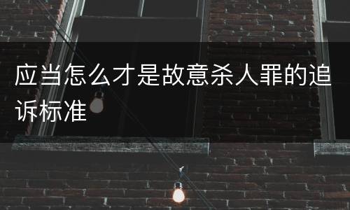 应当怎么才是故意杀人罪的追诉标准