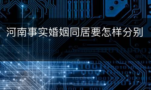 河南事实婚姻同居要怎样分别