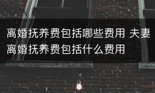 离婚抚养费包括哪些费用 夫妻离婚抚养费包括什么费用