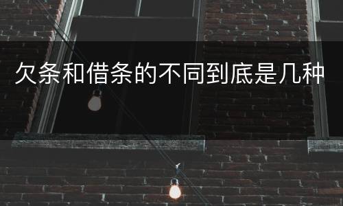 欠条和借条的不同到底是几种