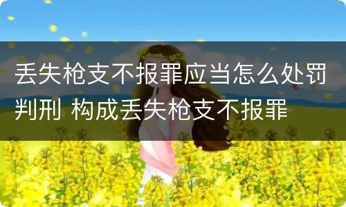 丢失枪支不报罪应当怎么处罚判刑 构成丢失枪支不报罪