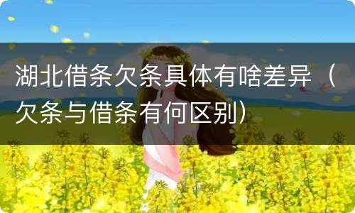 湖北借条欠条具体有啥差异（欠条与借条有何区别）