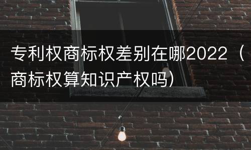 专利权商标权差别在哪2022（商标权算知识产权吗）
