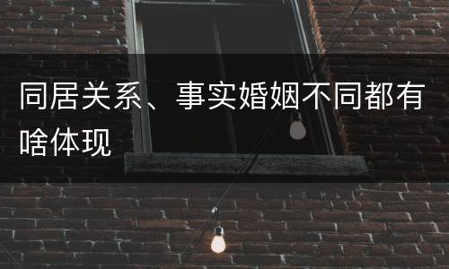 同居关系、事实婚姻不同都有啥体现