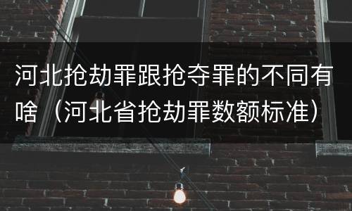 河北抢劫罪跟抢夺罪的不同有啥（河北省抢劫罪数额标准）