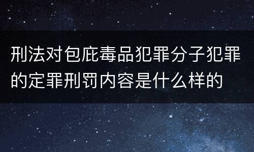 刑法对包庇毒品犯罪分子犯罪的定罪刑罚内容是什么样的