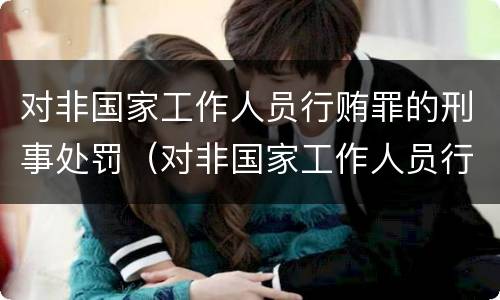 对非国家工作人员行贿罪的刑事处罚（对非国家工作人员行赂罪）