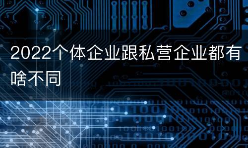 2022个体企业跟私营企业都有啥不同