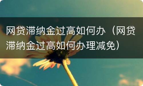 网贷滞纳金过高如何办（网贷滞纳金过高如何办理减免）