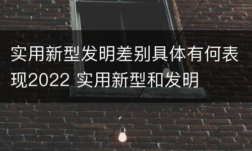 实用新型发明差别具体有何表现2022 实用新型和发明