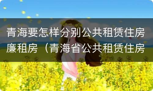 青海要怎样分别公共租赁住房廉租房（青海省公共租赁住房管理实施细则）