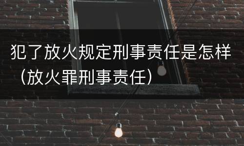 犯了放火规定刑事责任是怎样（放火罪刑事责任）