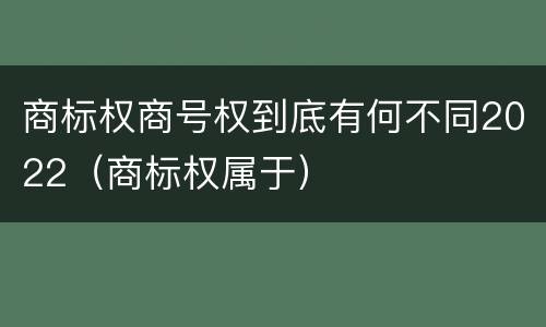 商标权商号权到底有何不同2022（商标权属于）