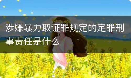 涉嫌暴力取证罪规定的定罪刑事责任是什么