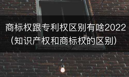 商标权跟专利权区别有啥2022（知识产权和商标权的区别）