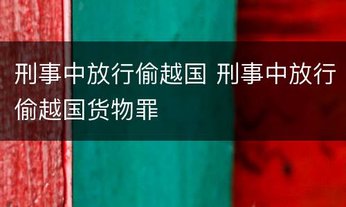 刑事中放行偷越国 刑事中放行偷越国货物罪