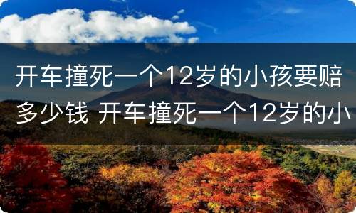 开车撞死一个12岁的小孩要赔多少钱 开车撞死一个12岁的小孩要赔多少钱呢