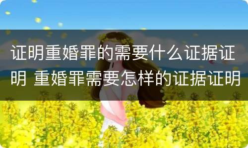 证明重婚罪的需要什么证据证明 重婚罪需要怎样的证据证明