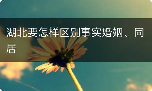 湖北要怎样区别事实婚姻、同居