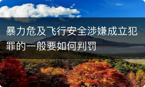 暴力危及飞行安全涉嫌成立犯罪的一般要如何判罚