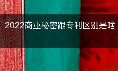 2022商业秘密跟专利区别是啥