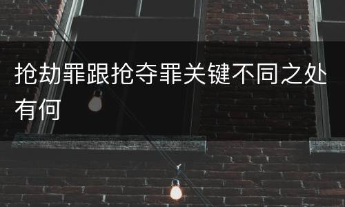 抢劫罪跟抢夺罪关键不同之处有何