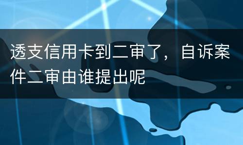 透支信用卡到二审了，自诉案件二审由谁提出呢