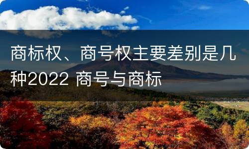 商标权、商号权主要差别是几种2022 商号与商标