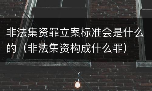 非法集资罪立案标准会是什么的（非法集资构成什么罪）