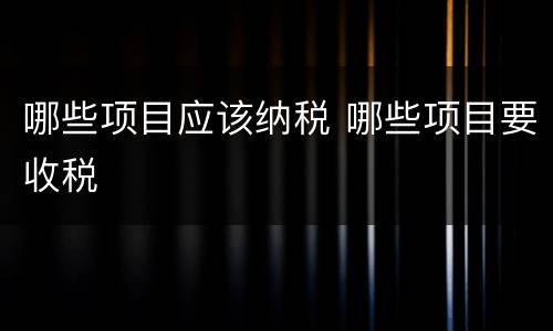 哪些项目应该纳税 哪些项目要收税