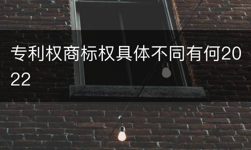 专利权商标权具体不同有何2022