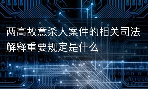 两高故意杀人案件的相关司法解释重要规定是什么