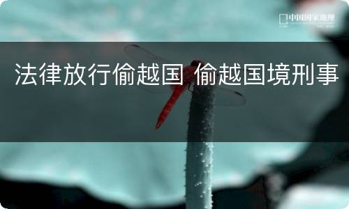 法律放行偷越国 偷越国境刑事