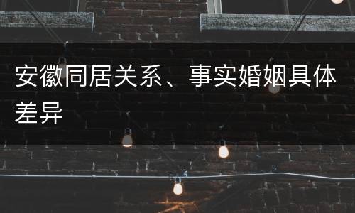 安徽同居关系、事实婚姻具体差异