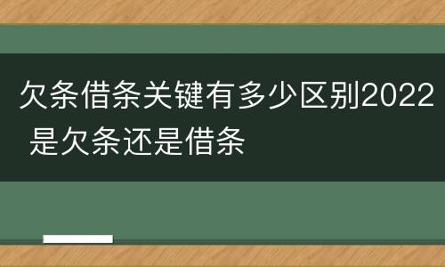 欠条借条关键有多少区别2022 是欠条还是借条