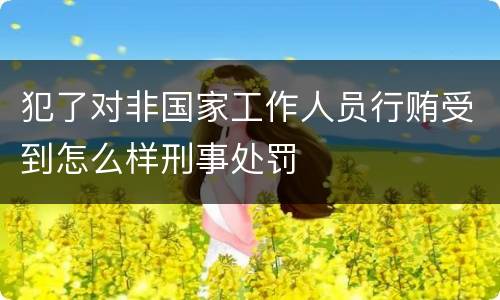 犯了对非国家工作人员行贿受到怎么样刑事处罚