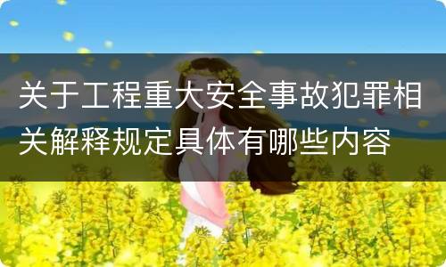关于工程重大安全事故犯罪相关解释规定具体有哪些内容