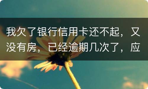 我欠了银行信用卡还不起，又没有房，已经逾期几次了，应该怎么处理
