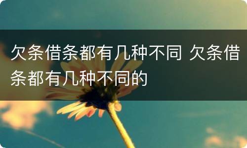 欠条借条都有几种不同 欠条借条都有几种不同的