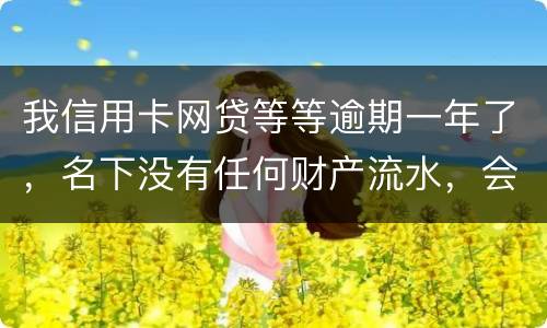 我信用卡网贷等等逾期一年了，名下没有任何财产流水，会不会被强制执行